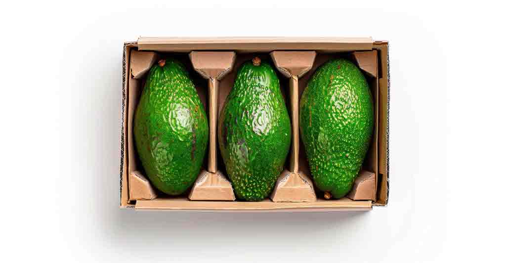 Cajas de carton para aguacate en cucuta